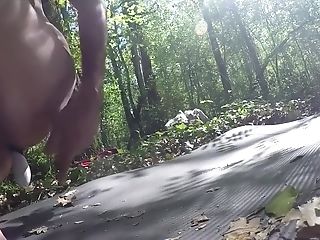 2nd Part Of Movie In The Wood With Gopro