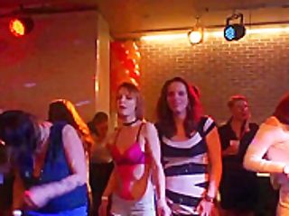 320px x 240px - Night Club Orgy Videos | XXXVideos247.com